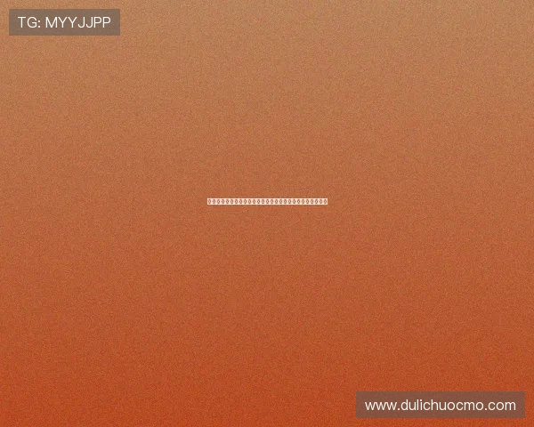 加里尼尔探索现代科技与人类智慧融合的未来发展趋势与挑战